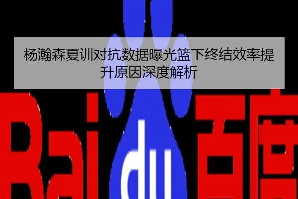 杨瀚森夏训对抗数据曝光篮下终结效率提升原因深度解析（YIDE）